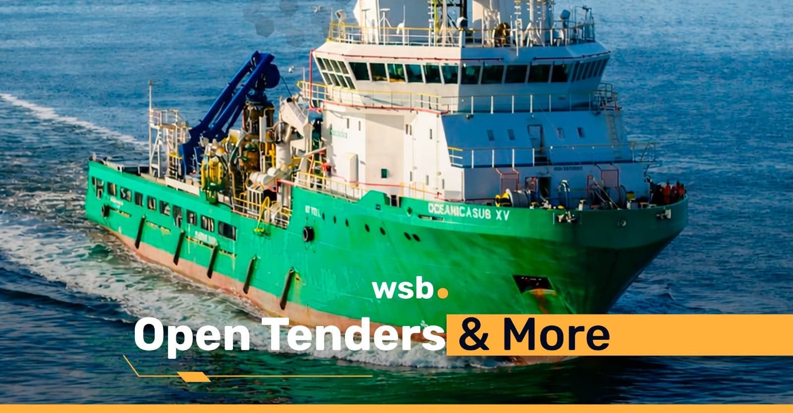 Open Tenders & More
